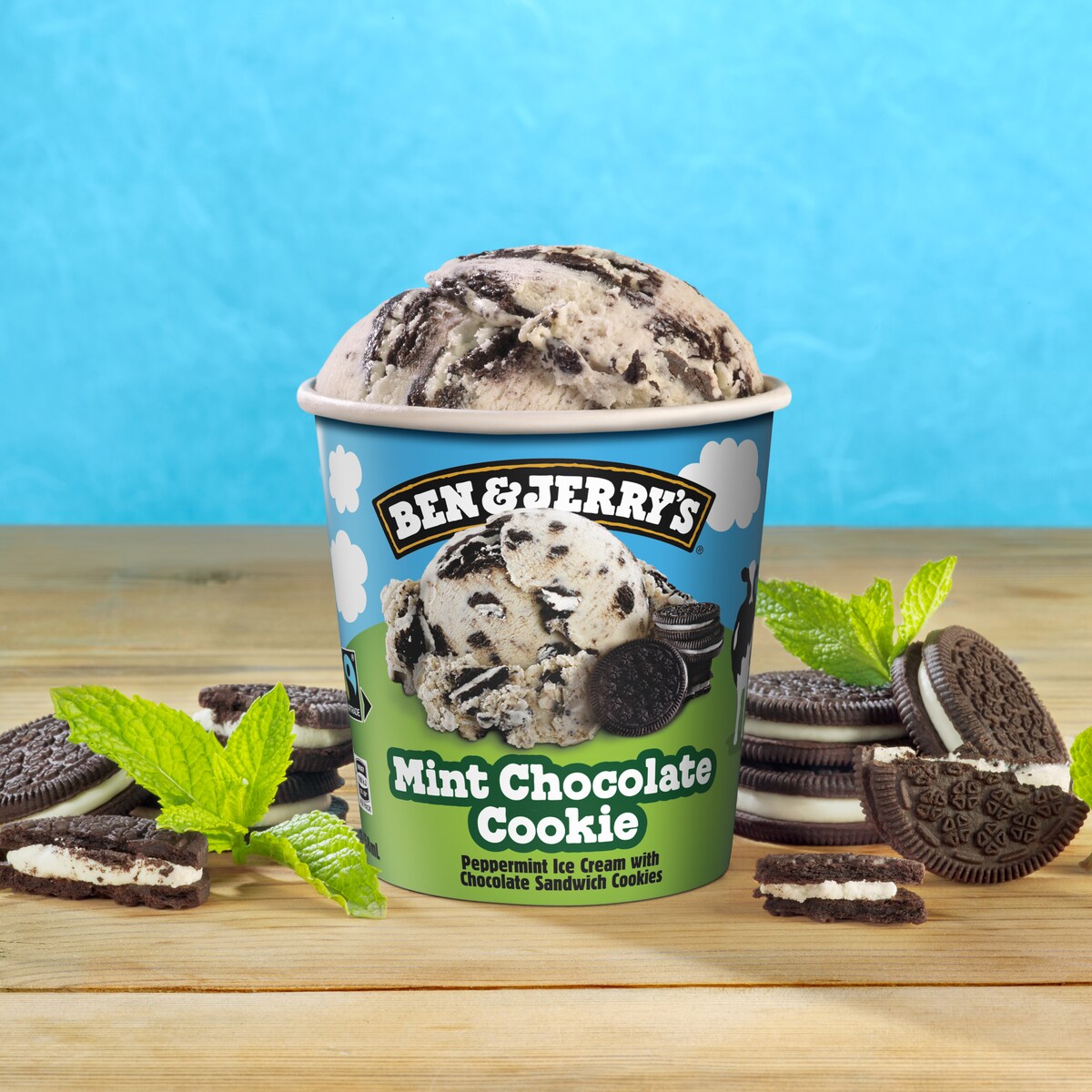 Mint Chocolate Cookie Ice Cream - Pint 4 / 5