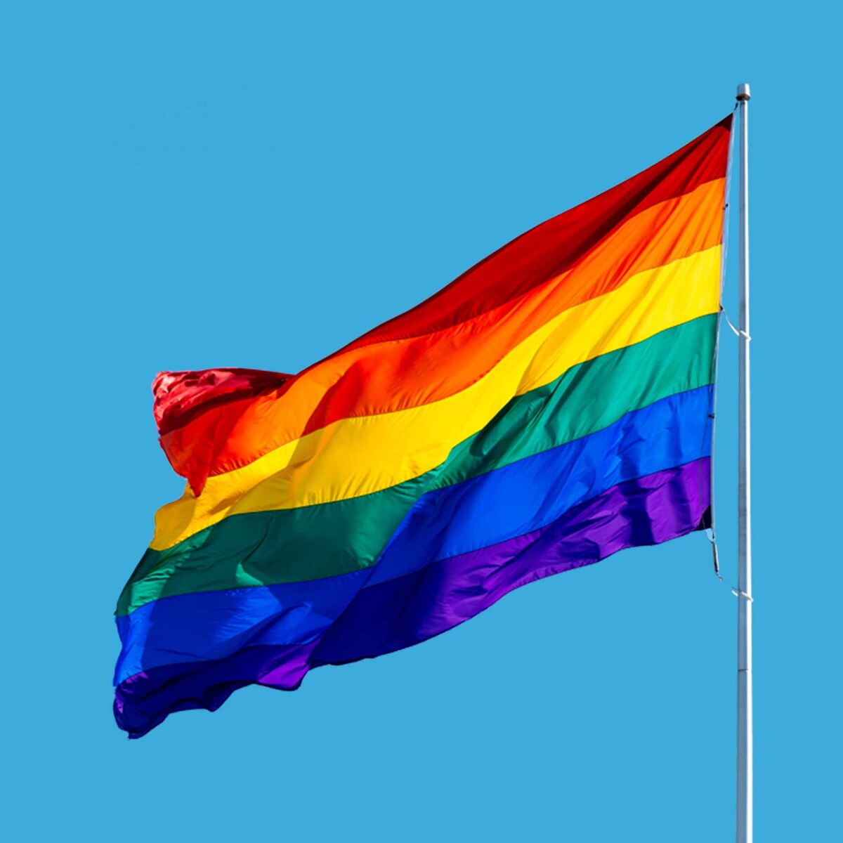 LGBTQ+ icon